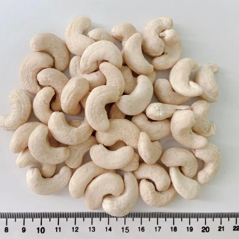  Сырые орехи кешью WW240 экспорт органических натуральных орехов из вьетнамской фермы W240 сырые + сушеные человеческие продукты белая слоновая кость