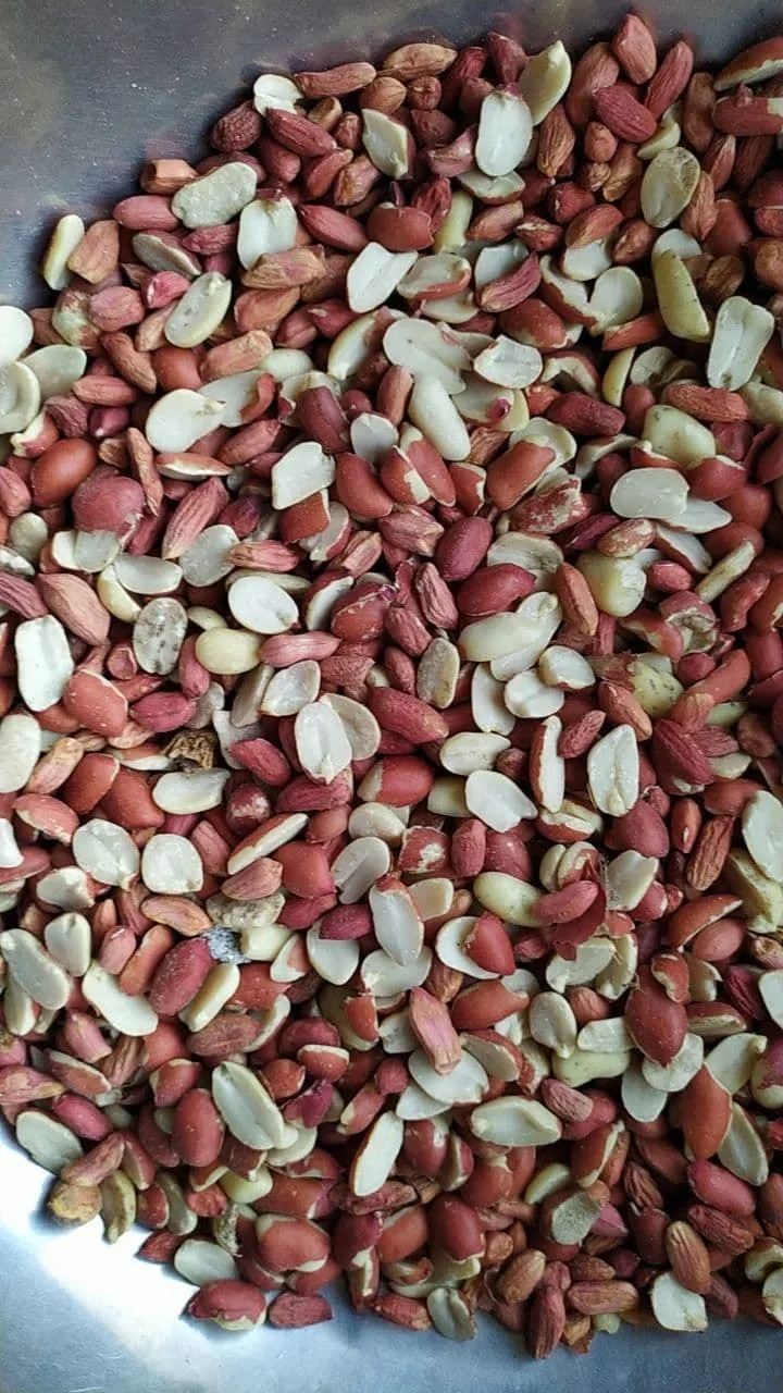 High quality raw peanut kernels