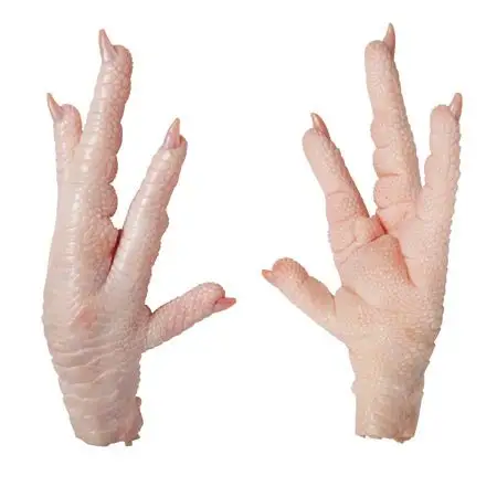 Quality Grade (A) Big Size Frozen Chicken Feet / Paws