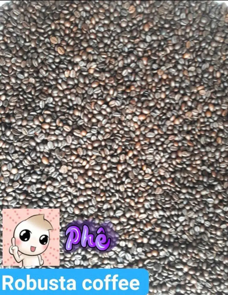 Вьетнамские жареные кофейные зерна ROBUSTA класса