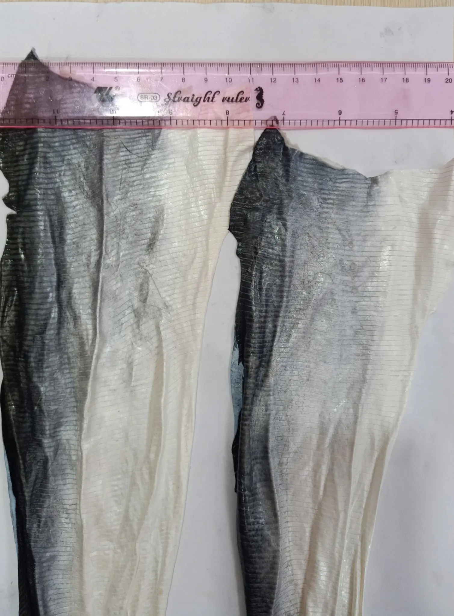  Frozen Pangasius/Basa Skin -