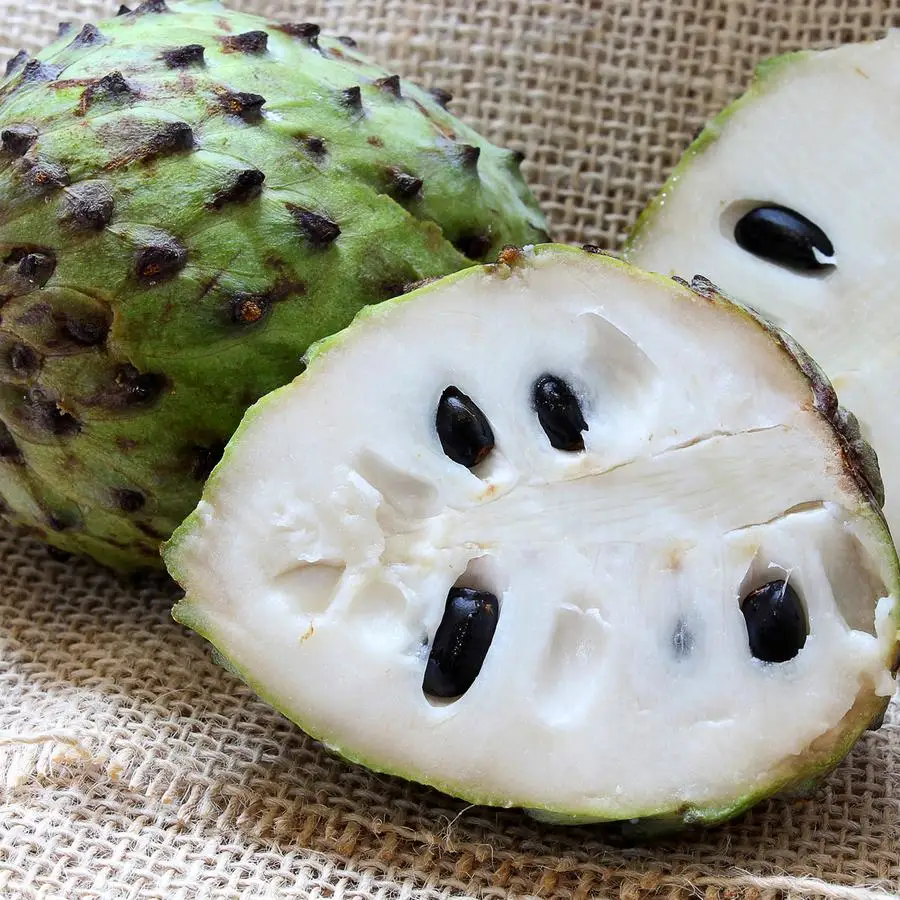 Замороженные кубики IQF Soursop (Graviola) без семян Вьетнам оптовая продажа пищевых продуктов