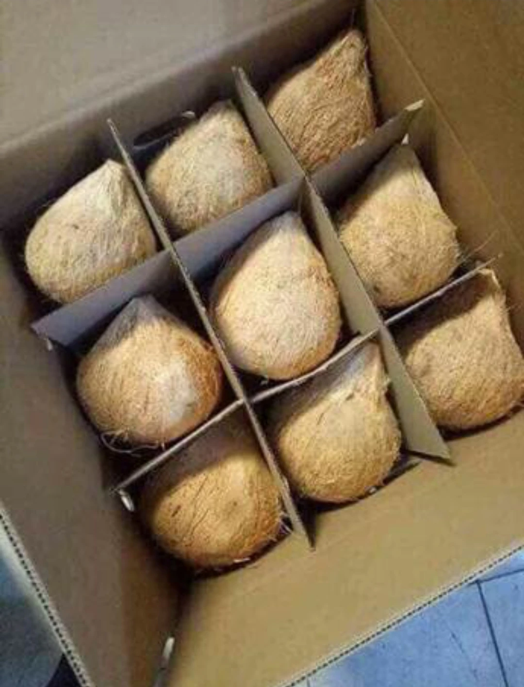 Натуральный коричневый полуочищенный кокос из Вьетнама высокого качества-Лучшая цена на экспорт