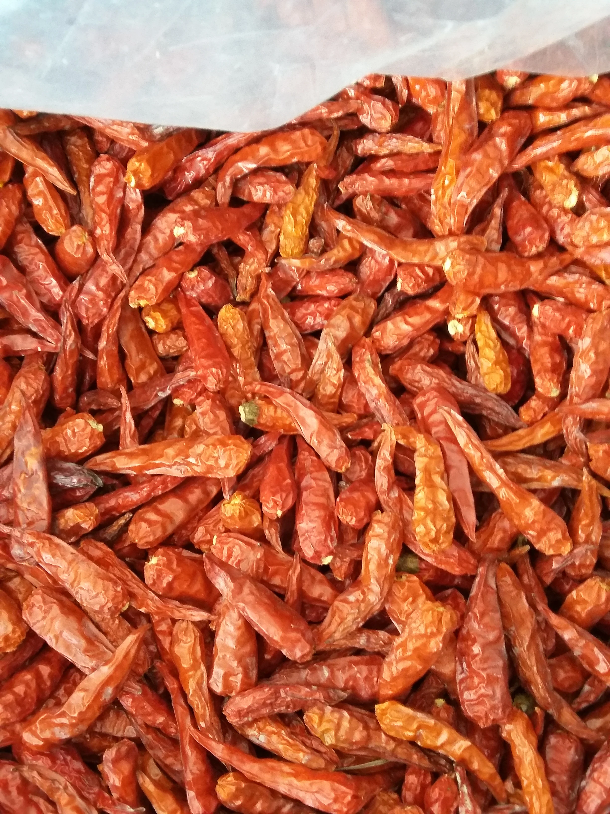 Dried Chilli New Crop Dried Vegetables Dehydrated Bulk Style Storage Packing Food Air Weight