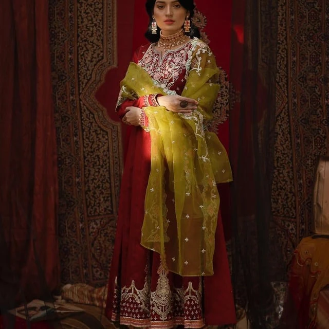 Anarkali Suits/ Special Anarkali Suits for Women/ Fancy Indian-Pakistani Ladies Suites