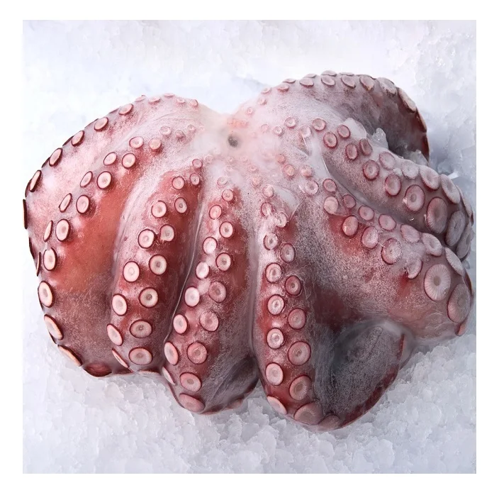 All size Fresh octopus whole year around with price quotations