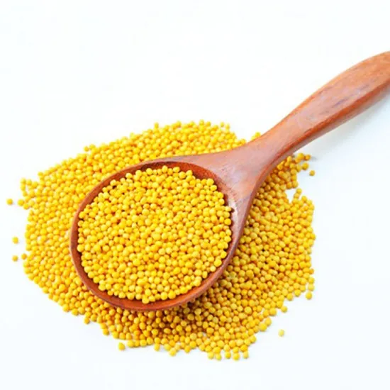 Top Quality Wholesales High-Quality Kitchen Seasonings Mustard Seeds Yellow Mustard Seeds Dried Mustard With Low Price
