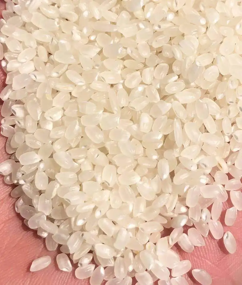 Круглый семена японского риса белый короткозернистый рис для суши сертификация USDA