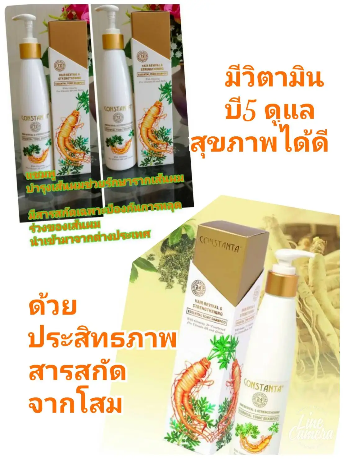 Hair Shampoo with Ginseng Pro Vitamin B5 and Herbs Premium Quality Constanta Tonic in Bottle 100mL from Thailand OEM Available
