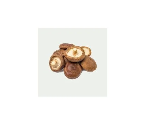 
VIETNAM SHIITAKE MUSHROOM - DRIED - BEST PRICE (Whatsapp +84-845-639-639 - Ms.Holiday) 