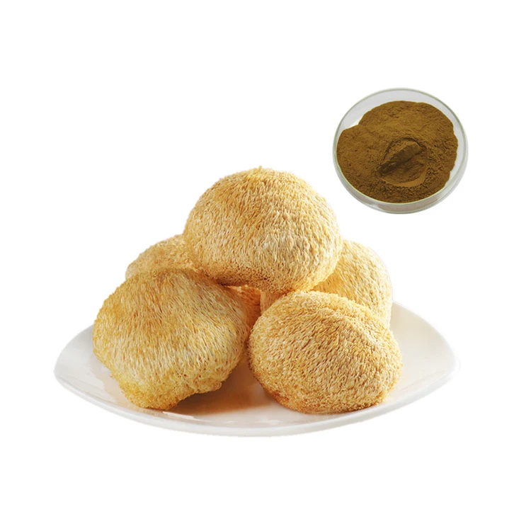 lion mane mushroom extract powder Hericium Erinaceum Extract Fruiting Body 50% polysaccharides by UV lions mane private label