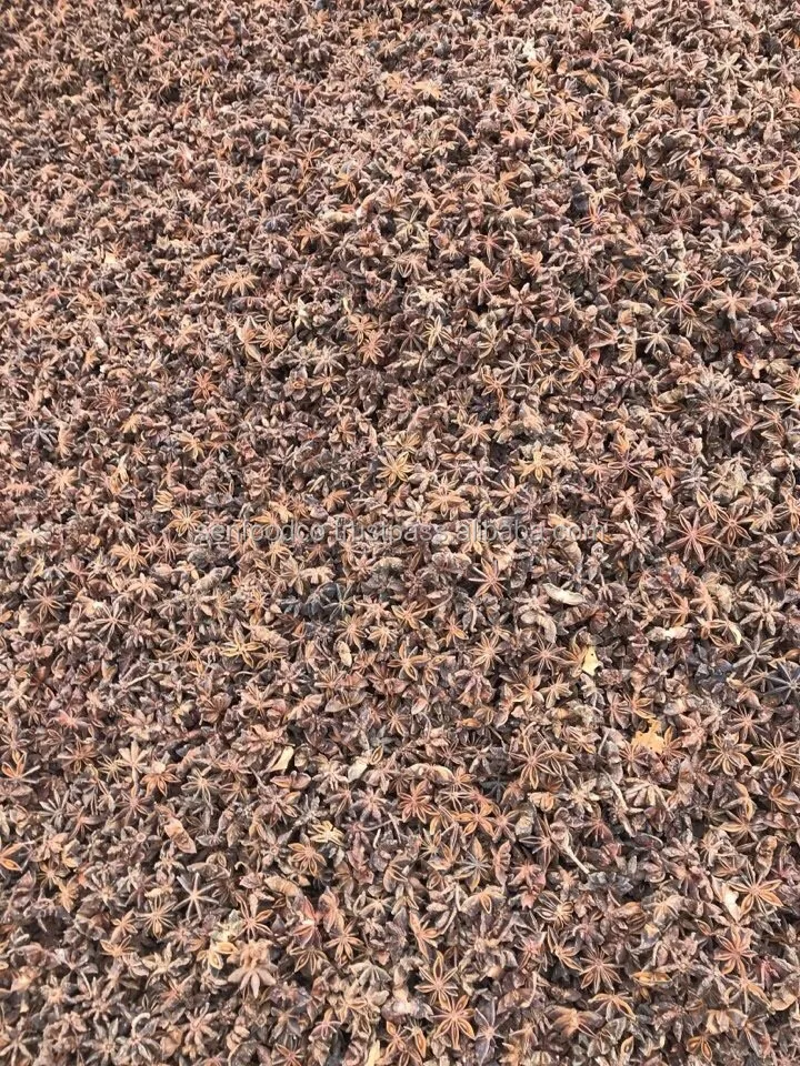 Spices - AUTUMN STAR ANISE FROM VIETNAM Good price