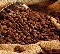 Best Price Coffee Beans Arabica Raw Coffee Beans Directly from Vietnam Specialty The Farm High Standard