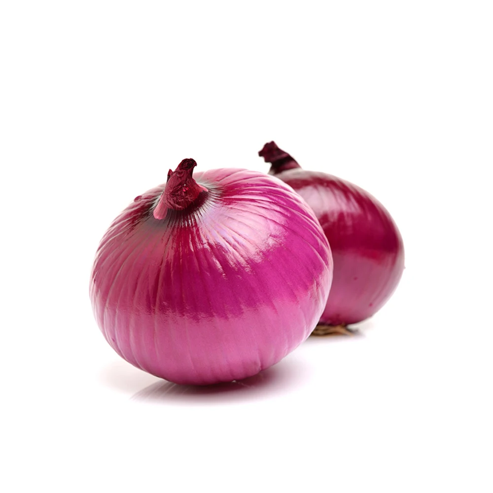 Top Quality fresh organic onions whloesalers Fresh Red Onion