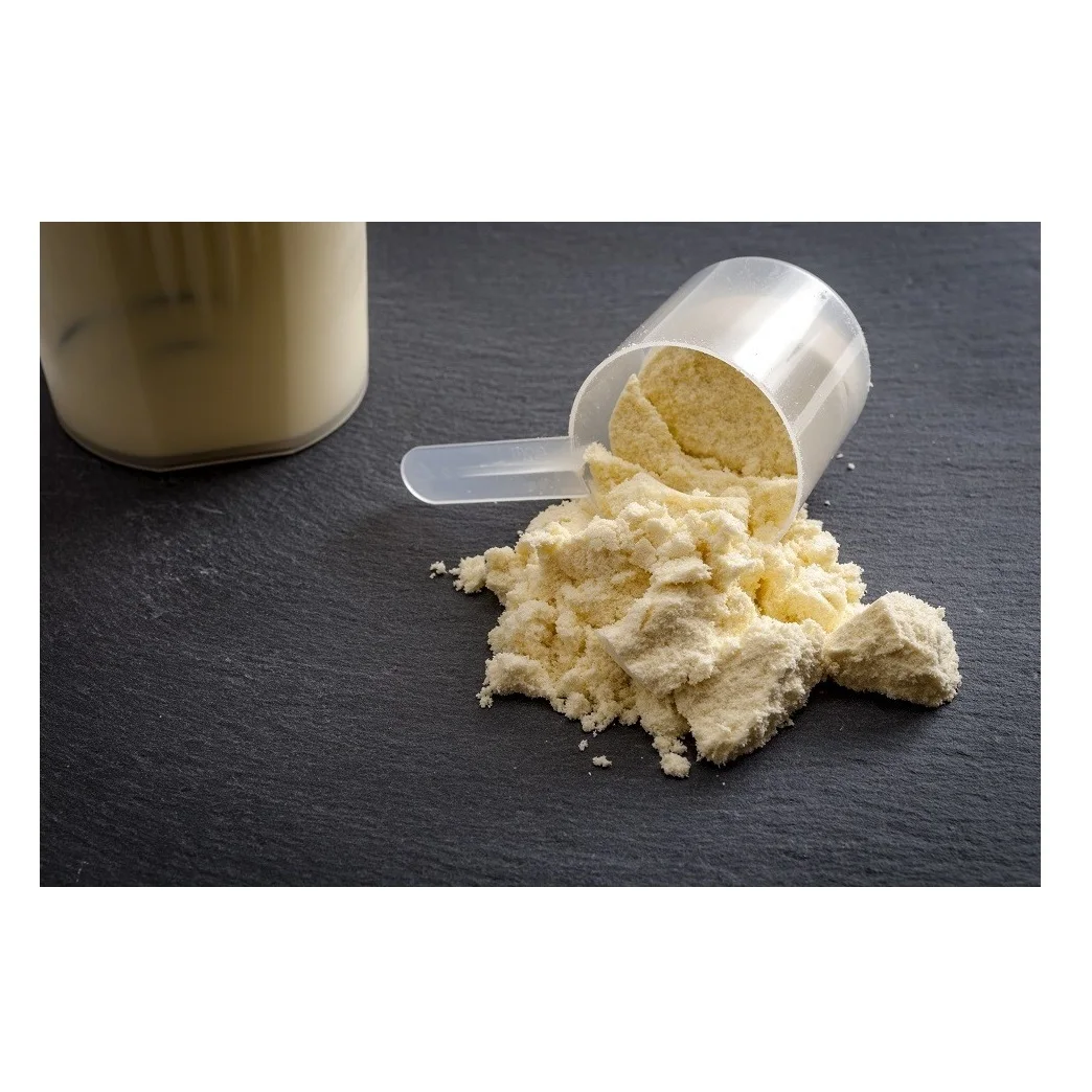 
Available Bulk Stock Of Casein Protien Powder At Lowest Prices 