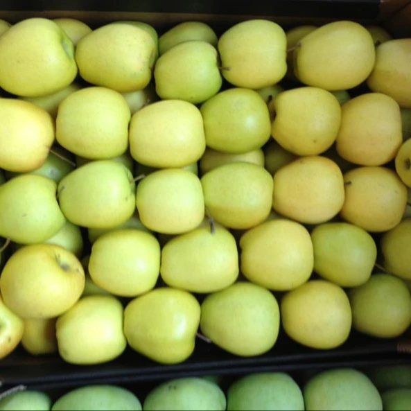 
South Africa Fresh Golden Delicious Apples 