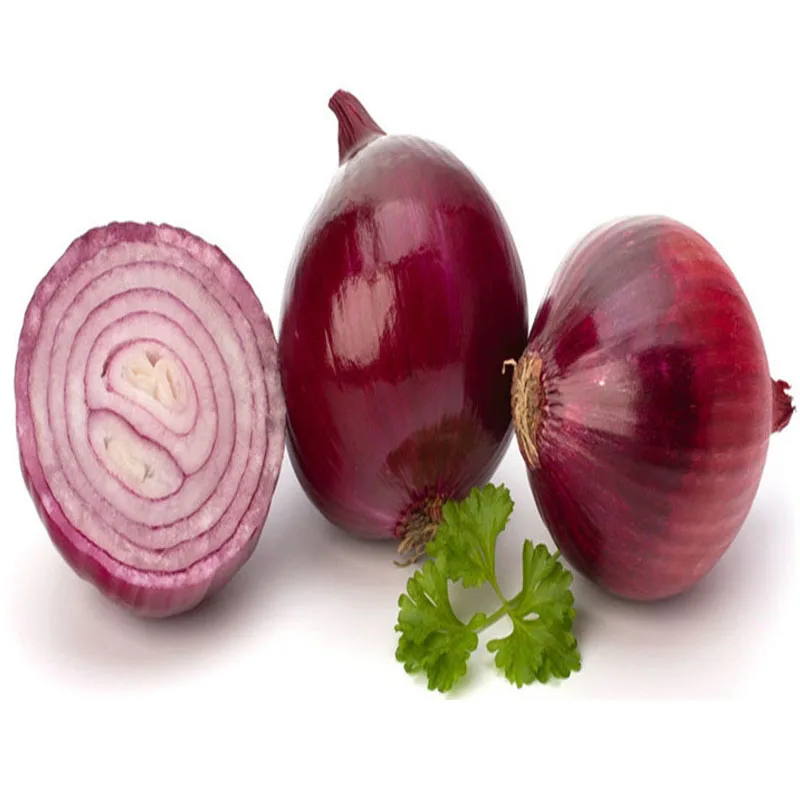 Best Quality Widely Selling Fresh Denmark Onion