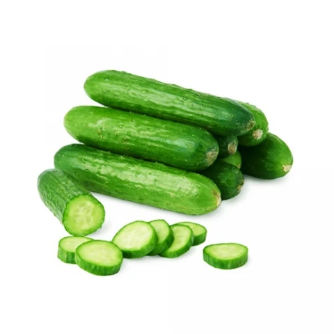TamEco Fresh Organic Sweet No Bitter Vegetables High Quality VietGap Green Cucumber 15-20cm carton box