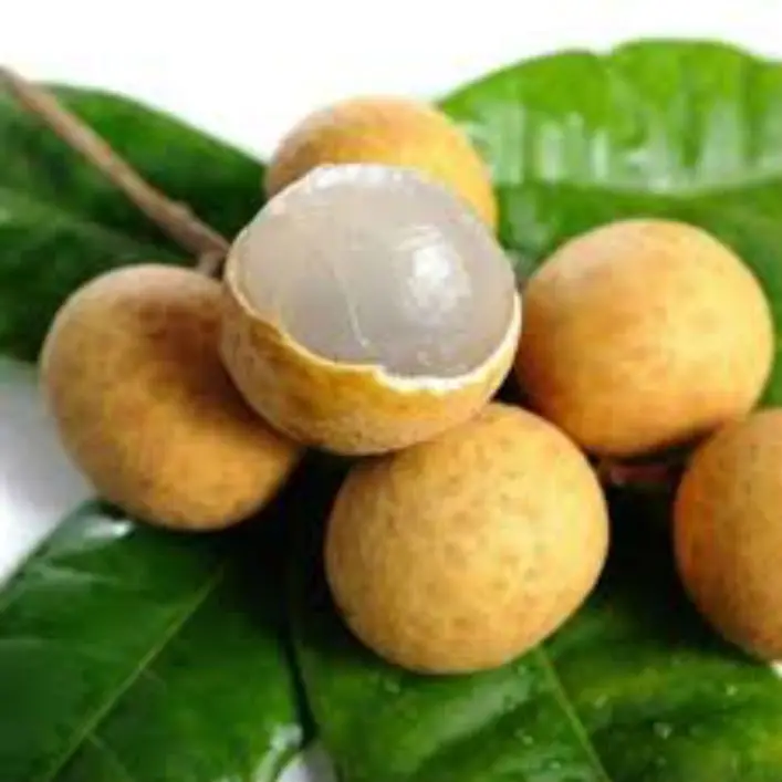  Лучшие сушеные фрукты Longan/тропические сушеные/мс Хлоя/WhatsApp: + 84 919 247 730