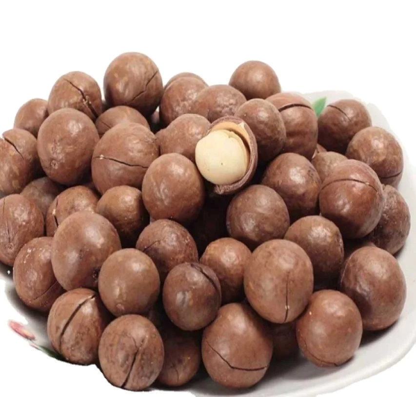 Macadamia Nuts Suppliers/ Shell and shell Macadamia Nuts/Whole Raw Macadamia Nuts