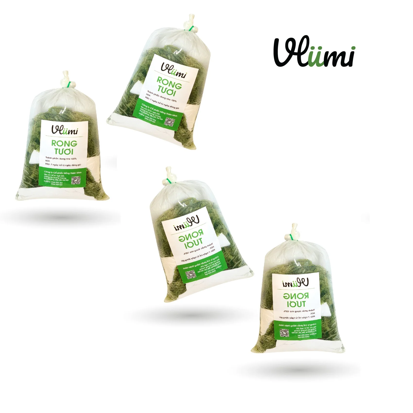 
Manufacturing Vietnamese VLUMI Seaweed Fresh Sea Grapes With Best Price 