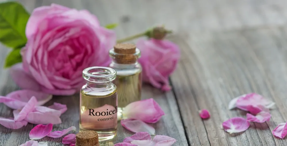 ISO GMP  Korean  cosmetics dark circle anti-aging anti wrinkle eye bag removal whitening  Natural Eye renewal essence cream 50g