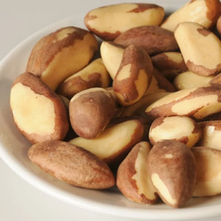Brazil Nuts / Organic Brazil Nuts