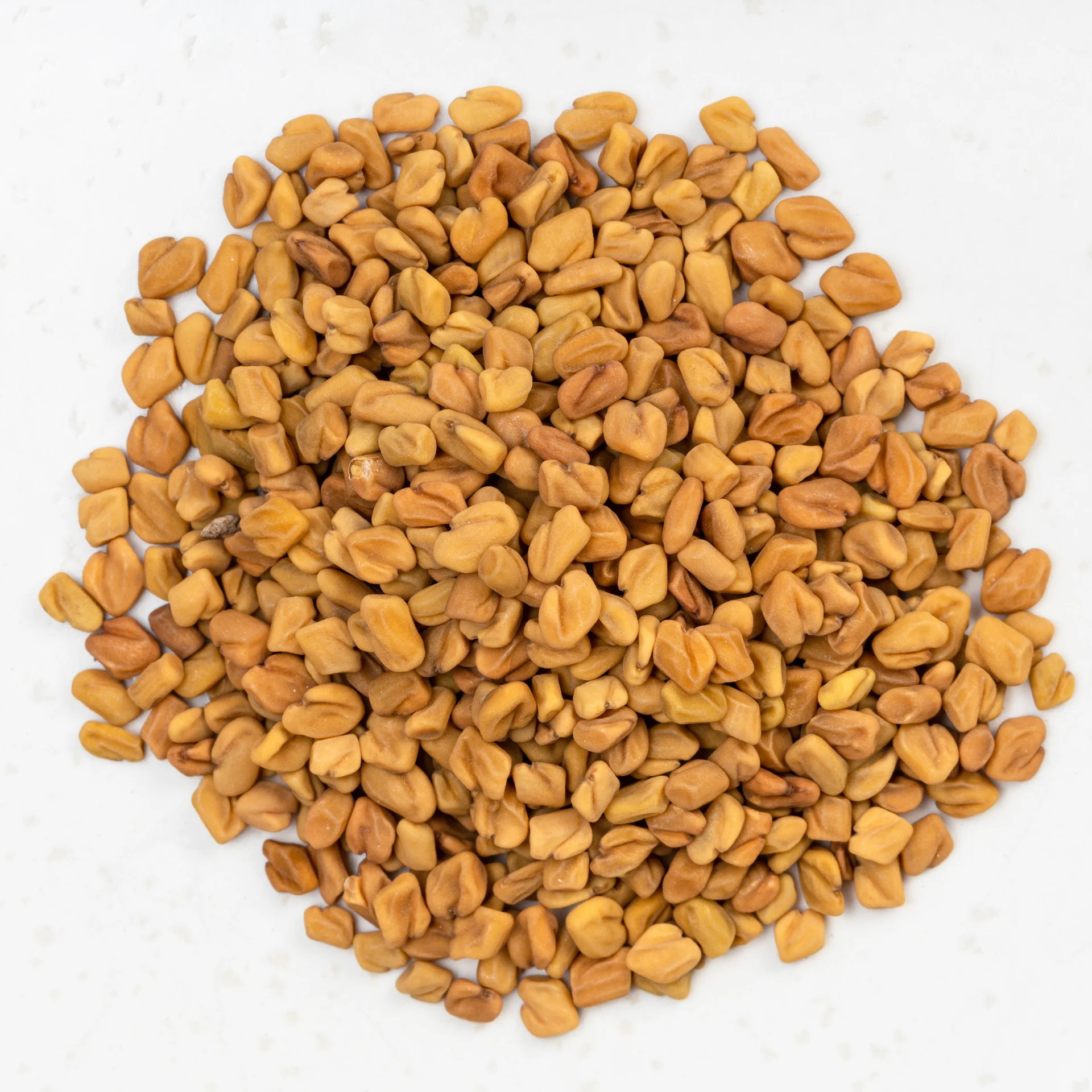 Fenugreek Seeds - Highest Quality