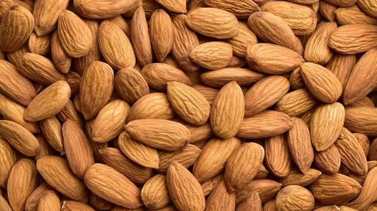 Export Quality California Breed Almonds