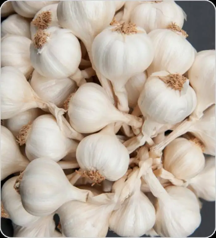 Good Quality Garlic Ly Son Island Garlic Dried Garlic Wholesale