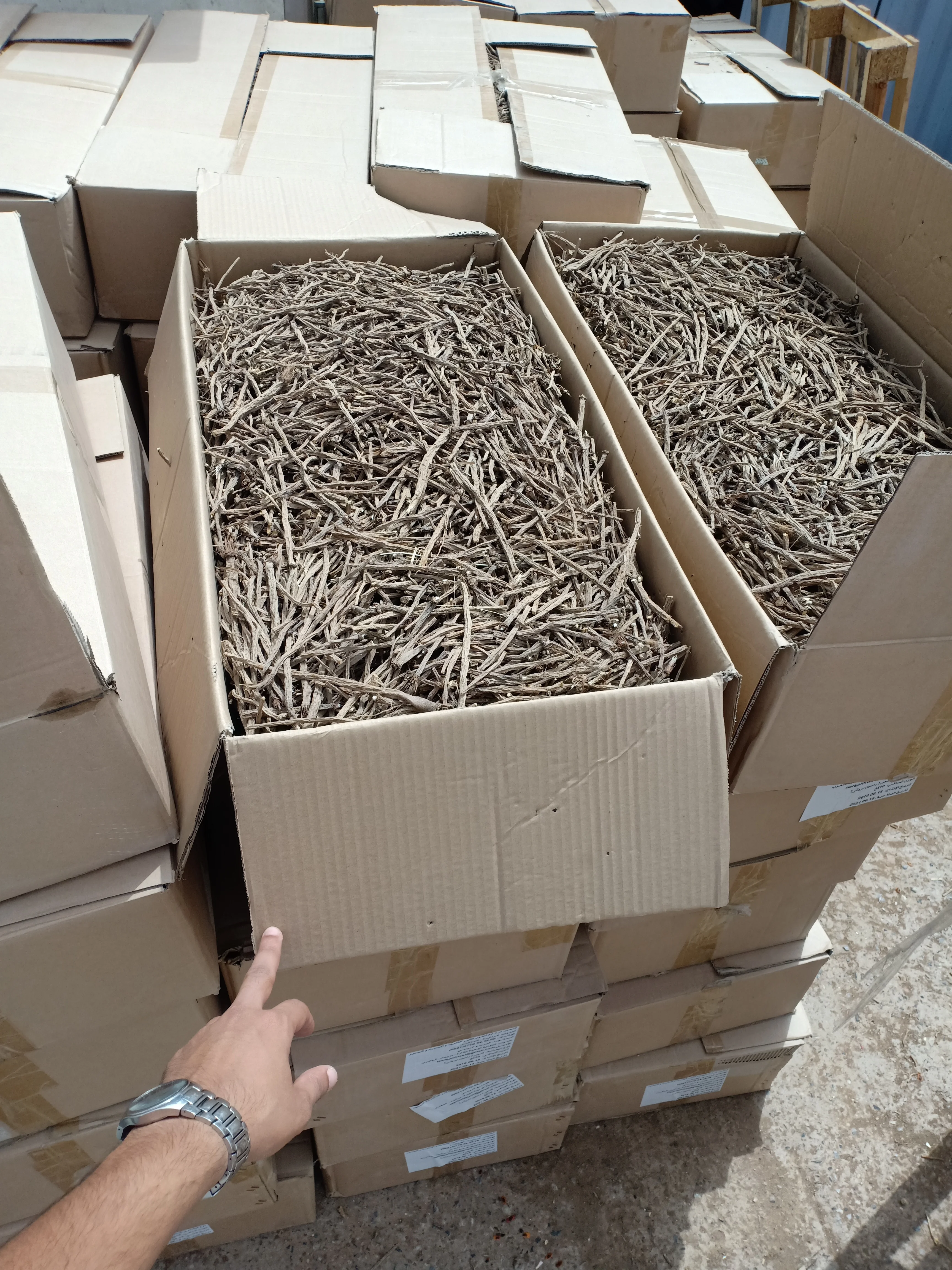 
Yellow Pellitory Roots JUNE 2020 CROP STRONG TASTE 