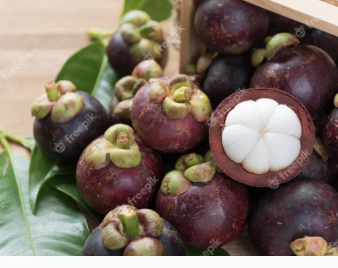 Fresh Natural MANGOSTEEN Premium Grade From Thailand