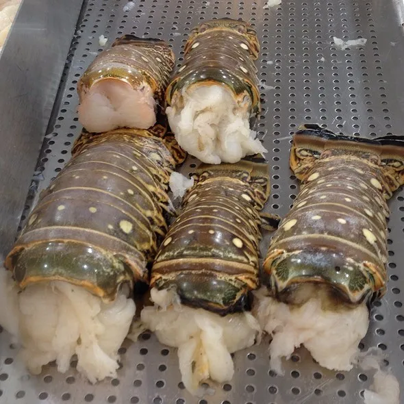 Frozen Lobster /Frozen Raw Whole Lobster/ Seafoods Turkey