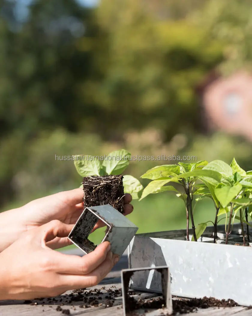Galvanized Metal Seed Germination\Starting Tray