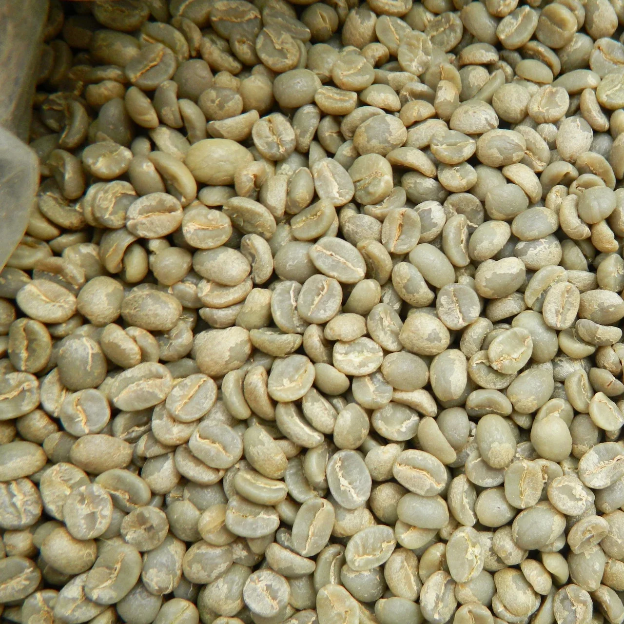 
Manufacture Products Freshly Picked Custom Packaging Organic Products Energy Drink Arabica Coffee Beans 