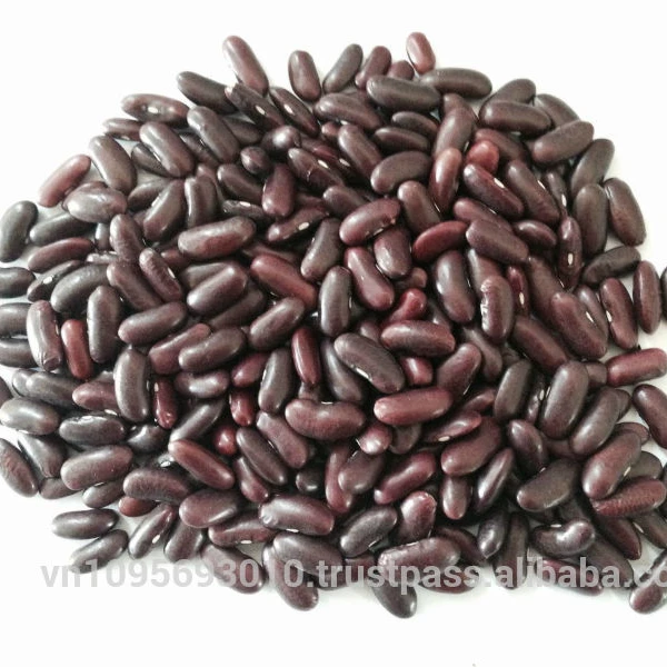 
BEST SELLING VIETNAM RED KIDNEY BEANS 