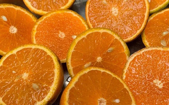 Ha Giang Province Orange made in vietnam 100% Natural Organic Cultivation type Wholesale Hot 2022