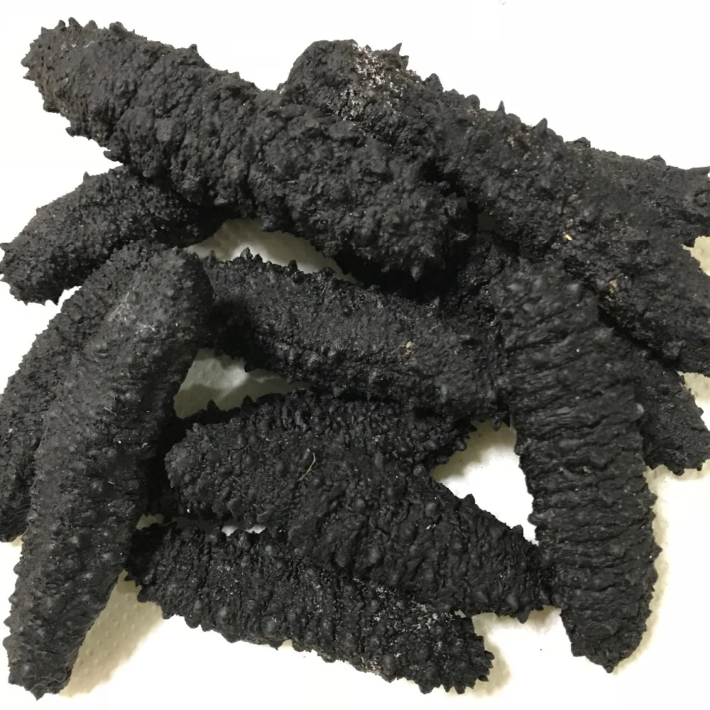 ready for export Dried sea cucumber   High quality and Best price (11000001402546)
