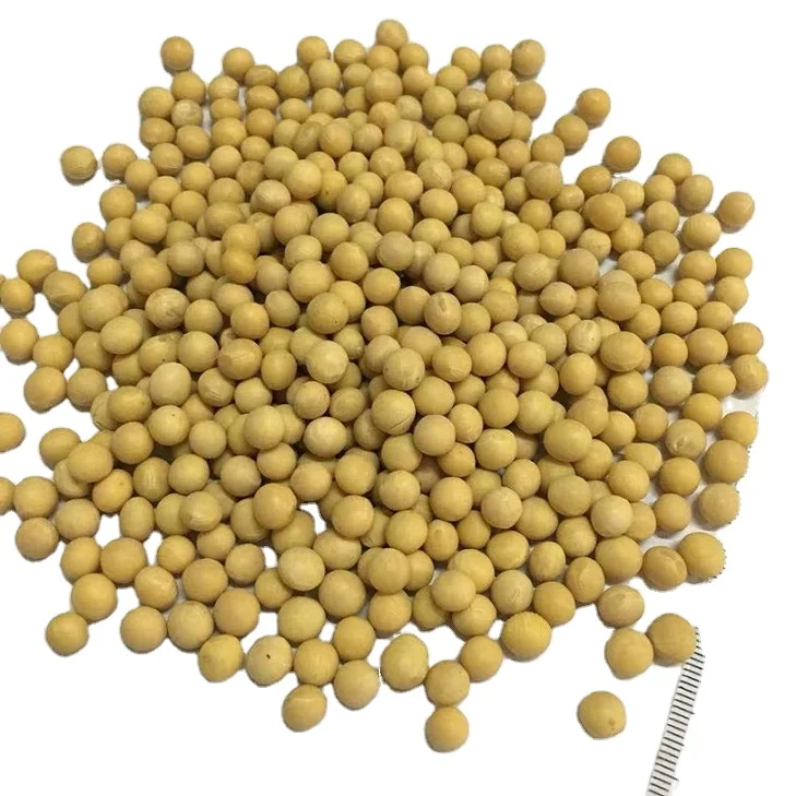 Top Quality Soybean / Dried Soybean / Non GMO Yellow Soybean For Sale