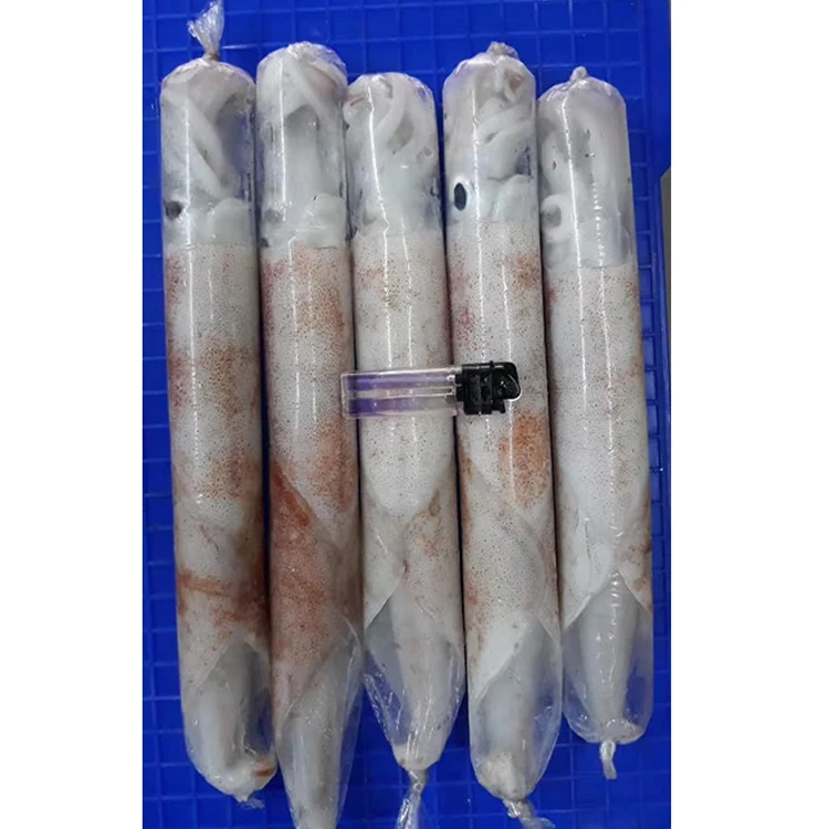 Loligo Squid HACCP Certified Frozen Seafood Supplier