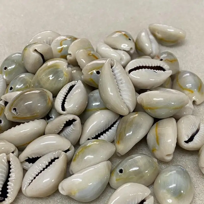  Capiz Sea Shell из Вьетнама