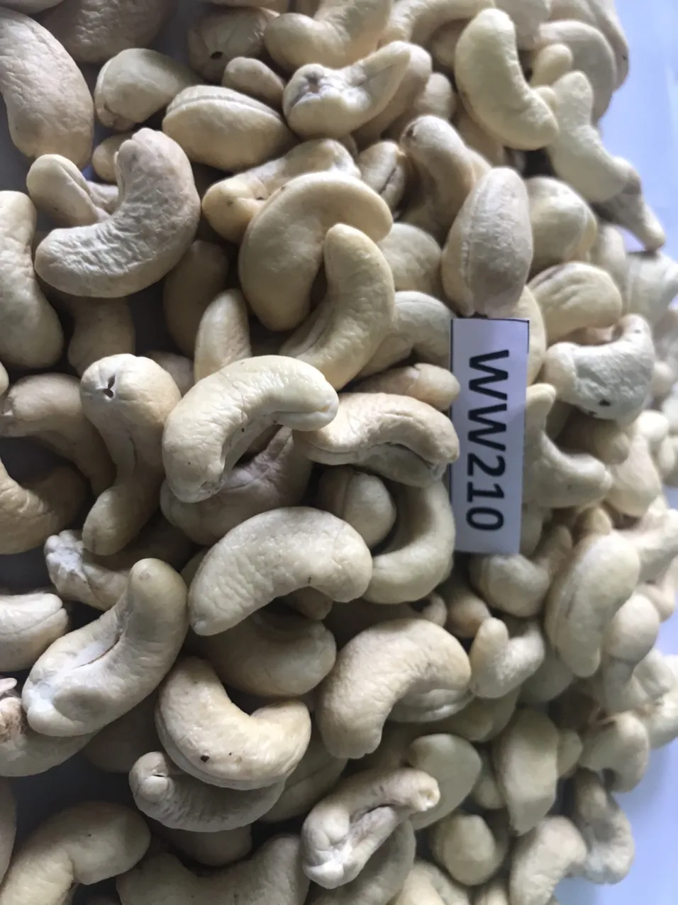 Best PRICE !!! Quality Cashew Nuts Cashew W180- W240- W320- W450 - WS - LP Cashew without Shell