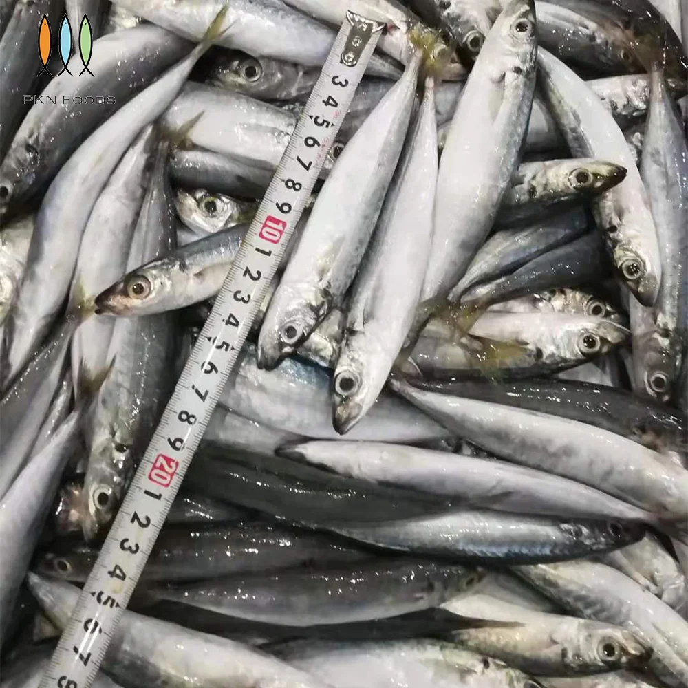 Nature Fresh Seafood Purse Seiner Whole Body Frozen IQF BLOCK Seasonal Decapterus Macrosoma Layang Scad