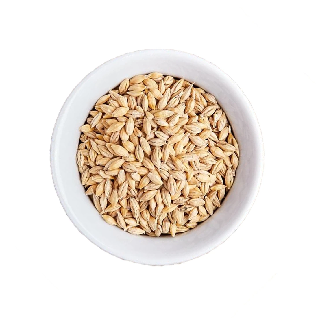Barley grains healthy food animal feed for animals bulk wholesale 100% natural organic non-GMO cereal grains