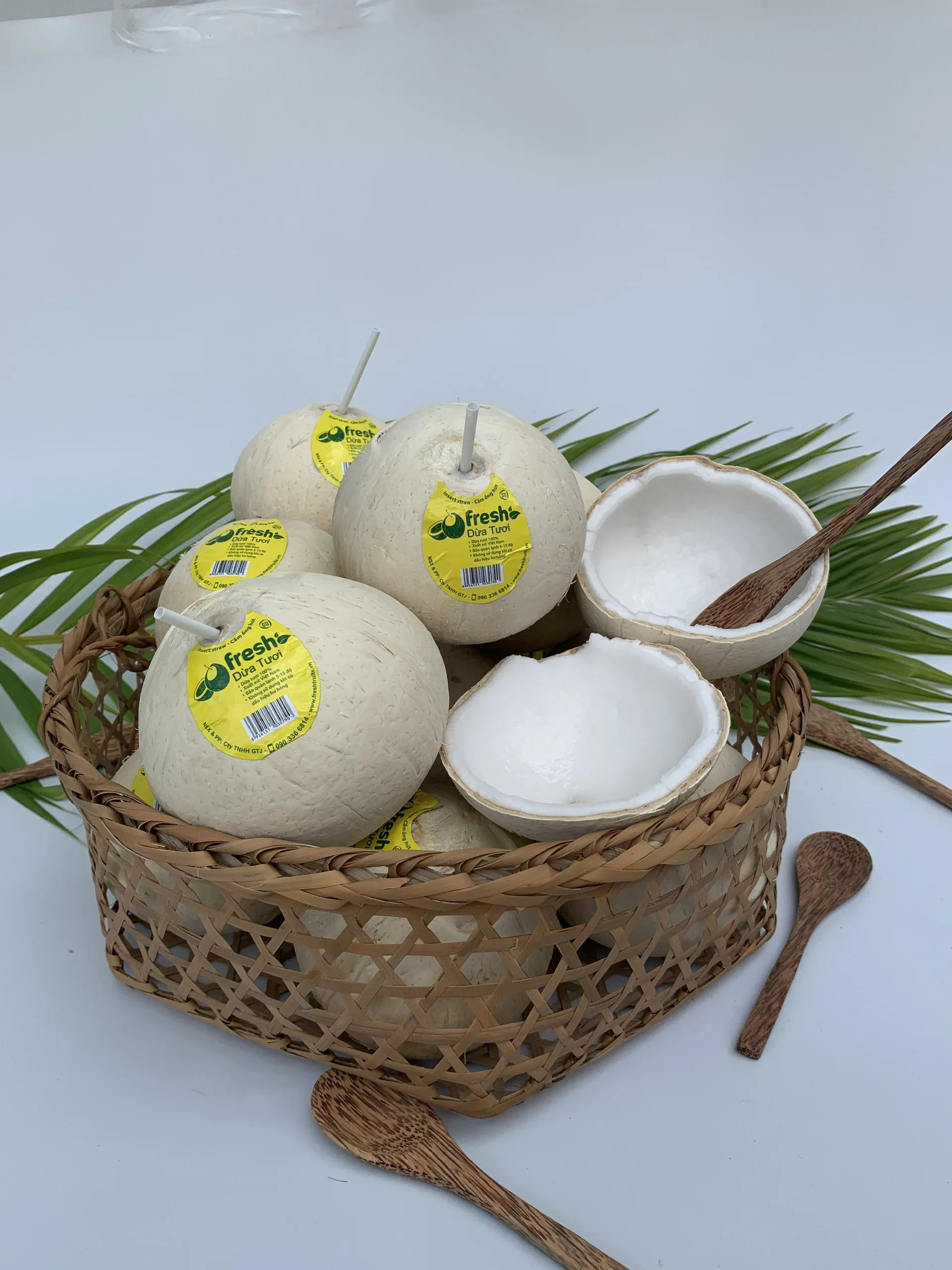 
Four Weeks Shell Life Pulp and shell Grade A Packing Young Coconut Fresh Convenient Coconut from Vietnam 