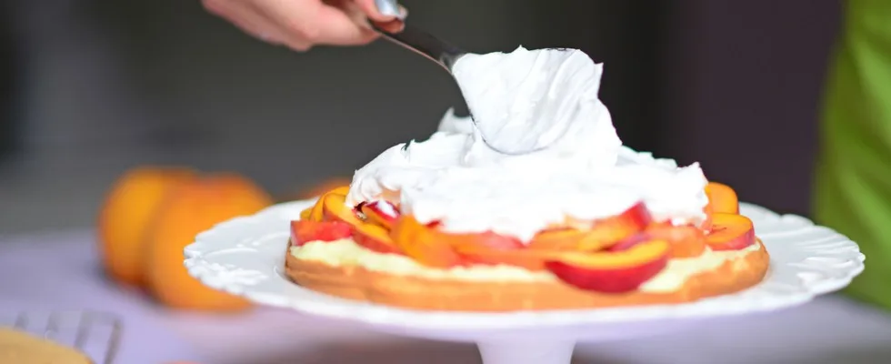 WHIPPED CREAM POWDER 1 KG