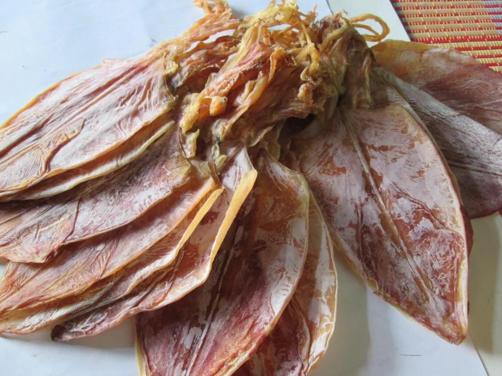 100% NATURAL DRIED SQUID FROM VIETNAM / HANA