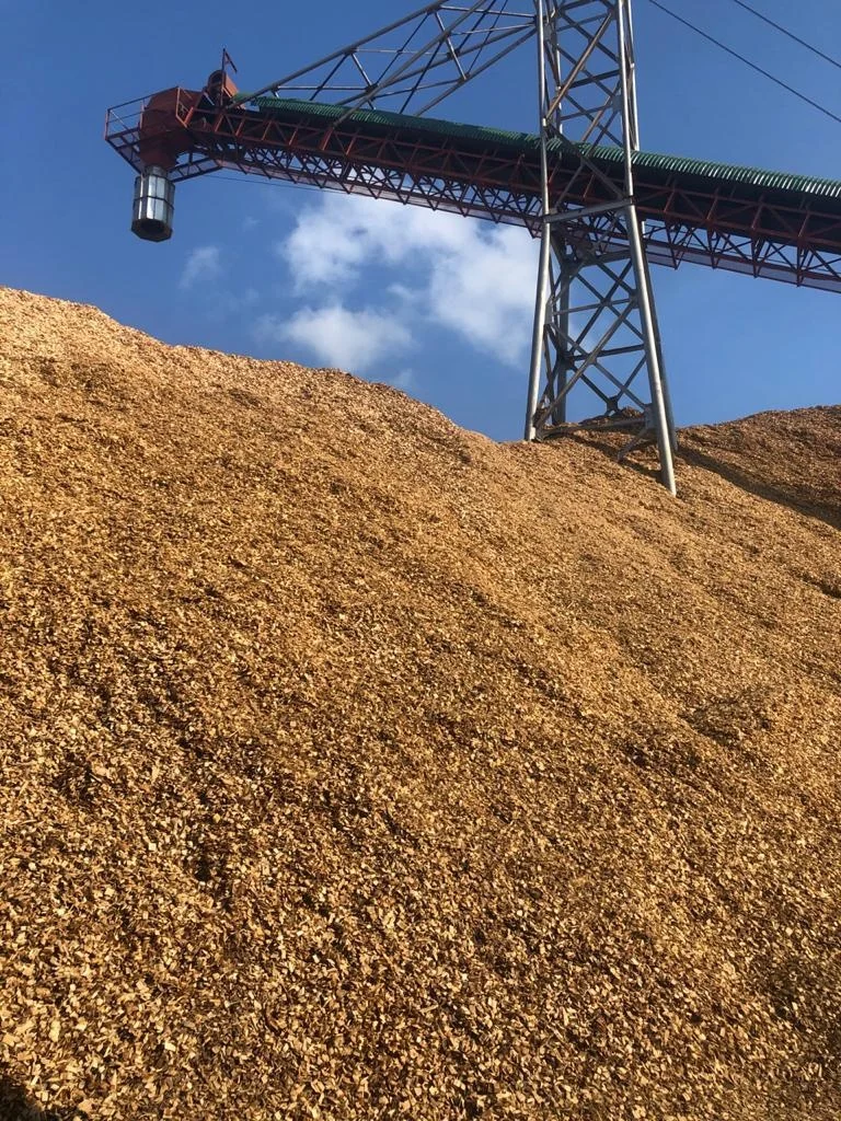 Древесные стружки