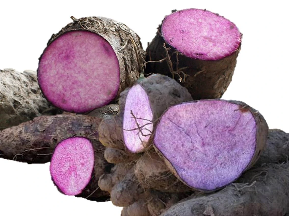 
FROZEN PURPLE YAM CUT FROM VIETNAM 