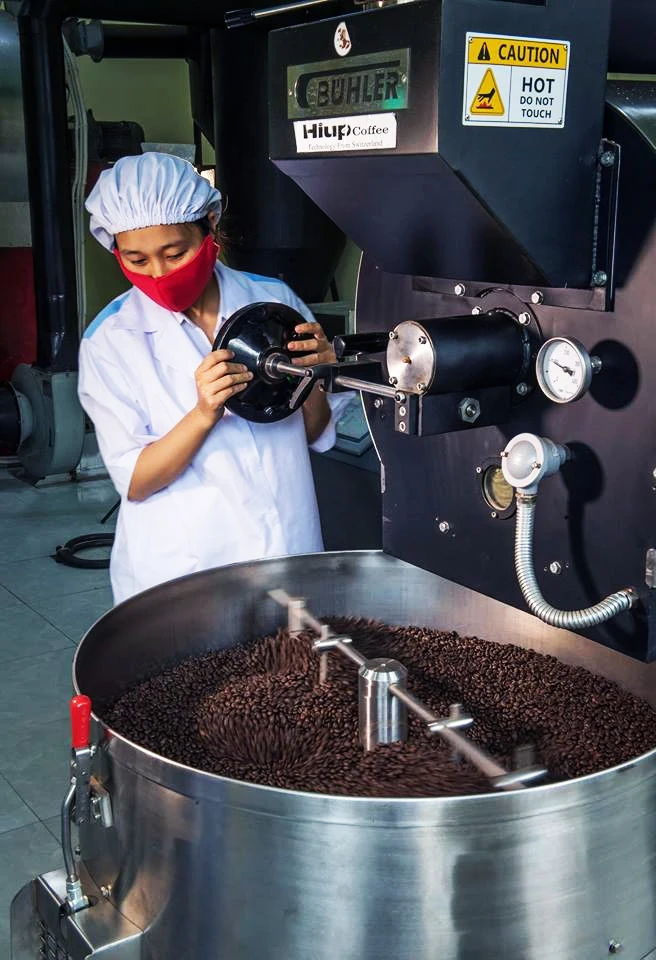 Pure Instant coffee Vietnamese Finest quality Robusta cheap price material for confectionery food and beverage